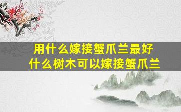 用什么嫁接蟹爪兰最好 什么树木可以嫁接蟹爪兰